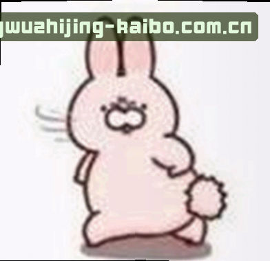 王磊